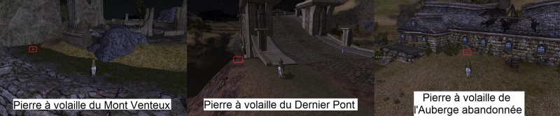 Pierre a volaille Terres Solitaires.jpg
