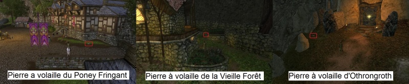 Pierre a volaille Bree.jpg